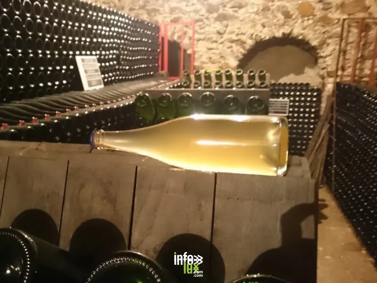 Champagne Boutillez-Marchand à Villers-Marmery