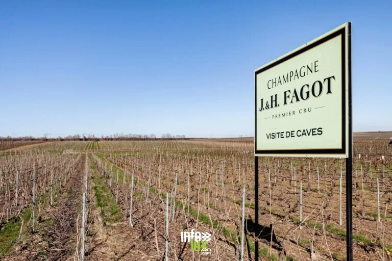 Champagne J. & H. Fagot