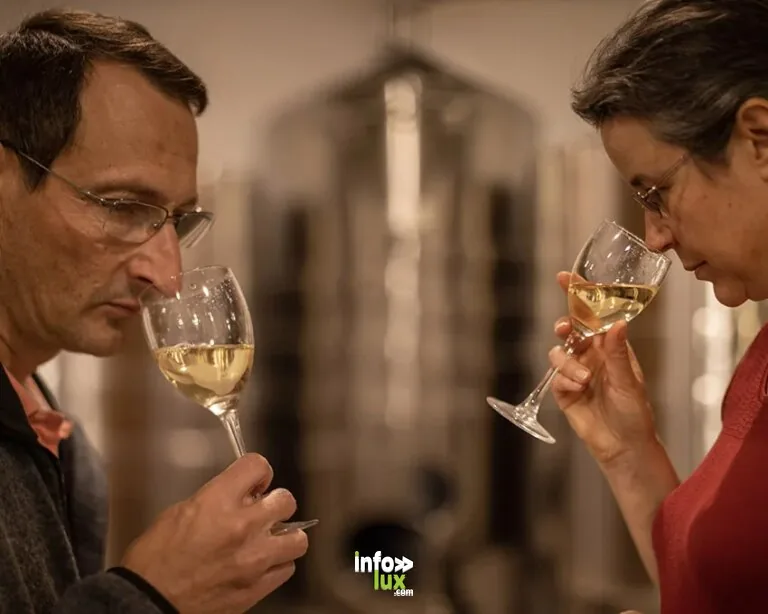 Champagne Olivier Lassaigne