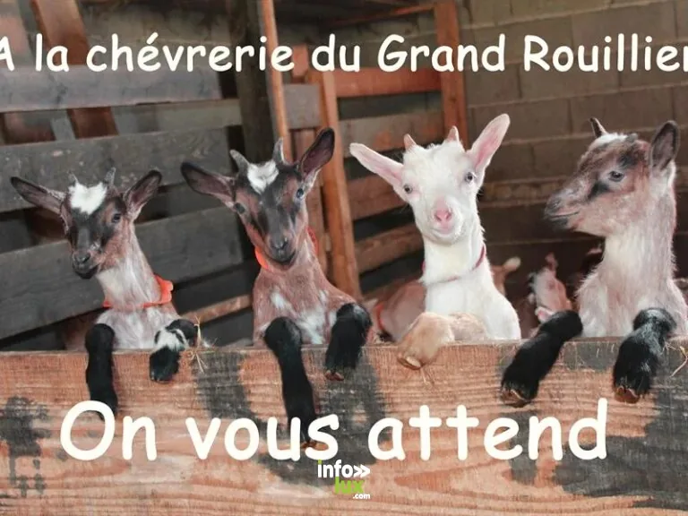 Chèvrerie du grand rouillier à La Forge