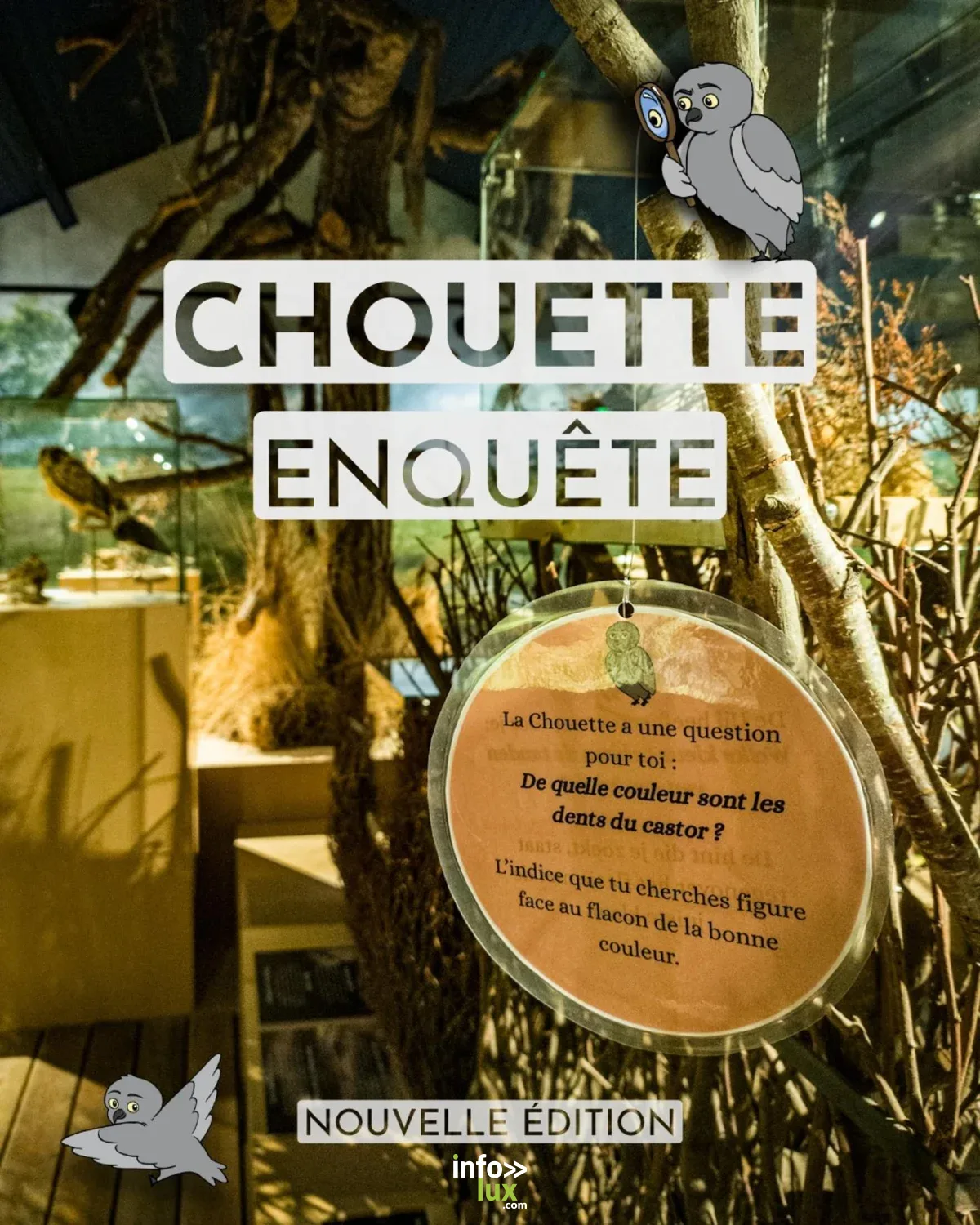 Affiche officielle Chouette enquête 2026