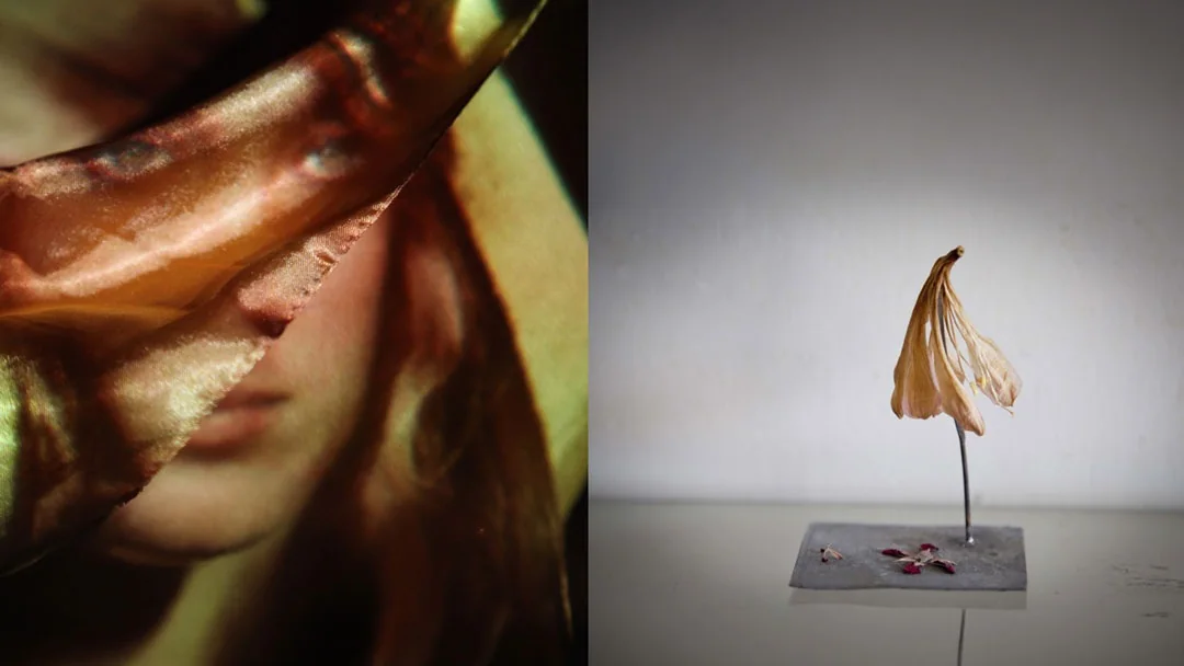Exposition « L’une et L’autre » à Ciney : dialogue entre scu à Ciney (Fête Nationale du 21 juillet)