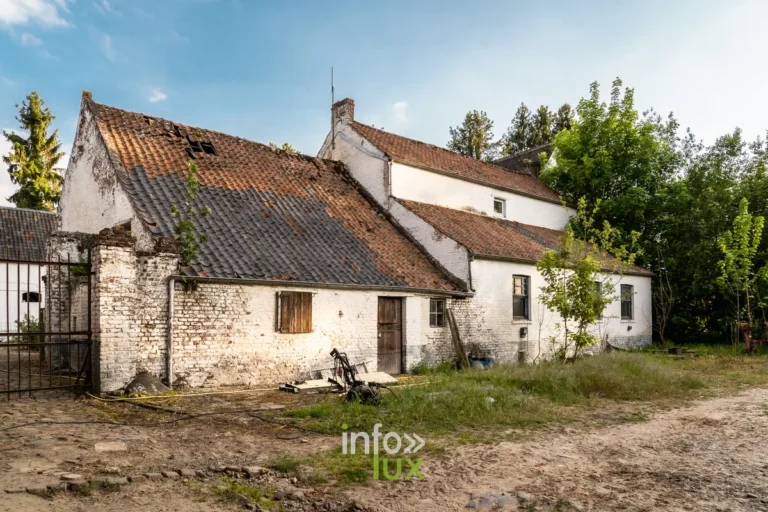 Paysage de Court-Saint-Étienne dans le Brabant wallon, photographie de Marie-Anne Pauwels