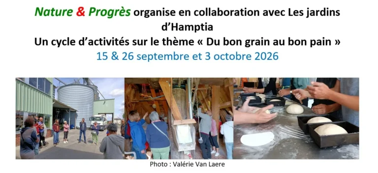 Floreffe > Conférence > Cycle activités de septembre “Du bon grain au bon pain”