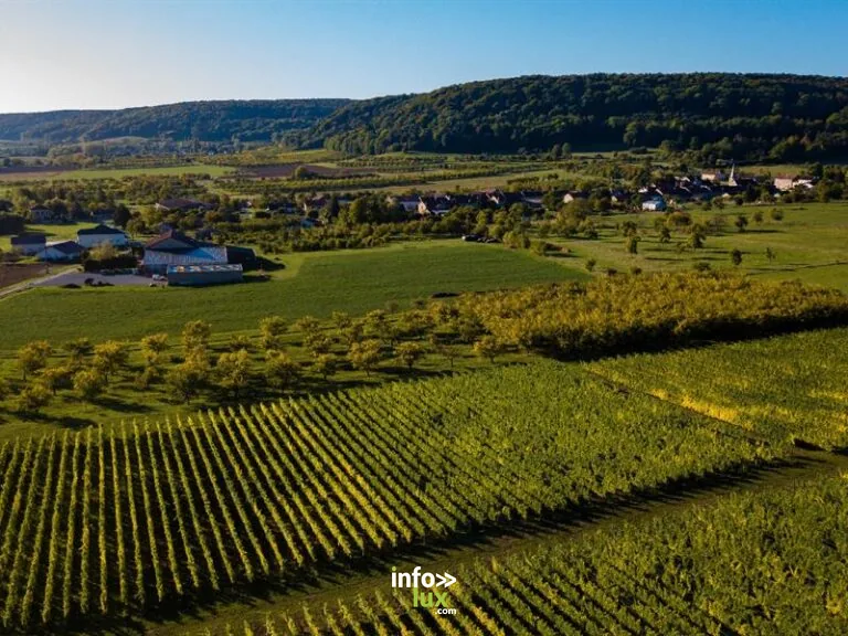 Domaine de Muzy à Combres-sous-les-Côtes