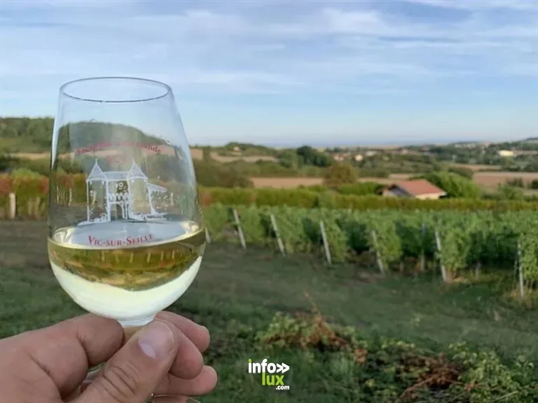 Domaine Dietrich Girardot à Vic-sur-Seille : cave / dégustation
