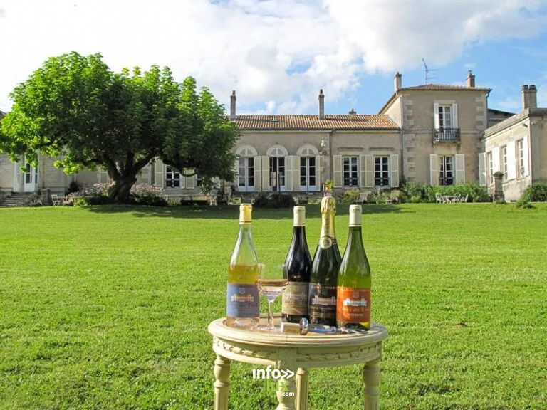 Domaine Loevenbruck à Choloy-Ménillot