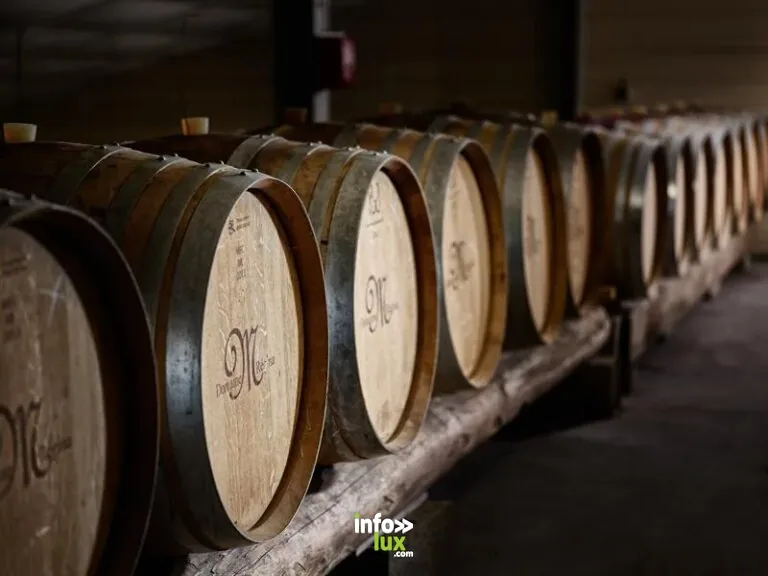 Domaine Régina à Bruley : cave / dégustation