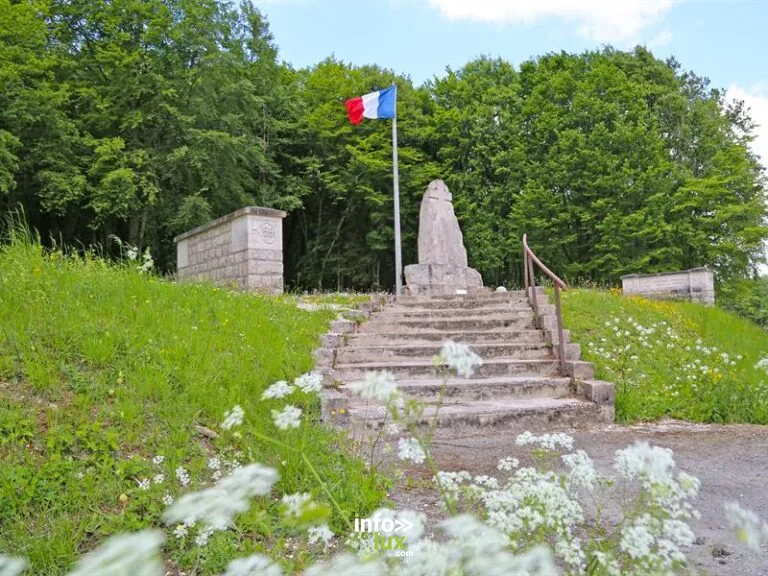 dt bois des caures beaumont en ver