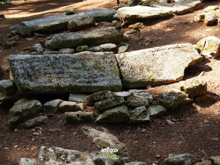 Nécropole mérovingienne à Audun-le-Tiche : lieu de mémoire