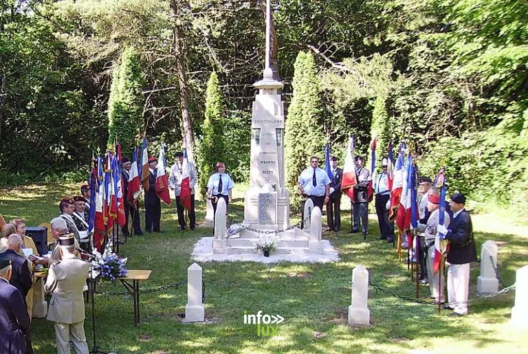 dt stele du maquis de voisines voisines