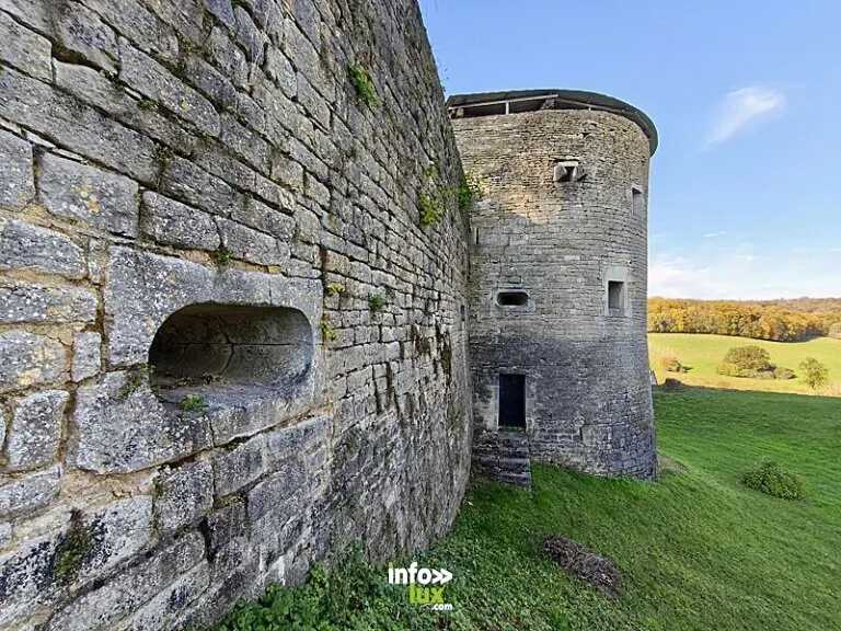 dt visite guidee de lafauche lafauche