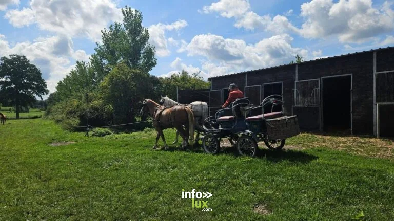 Havelange > Conférence > EquiRencontres à Barsy : le grand rendez-vous des passionnés de chevaux en Condroz-Famenne 2026