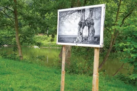 Expo Diafocam - Photos Club à Esneux (Fête Nationale du 21 juillet)