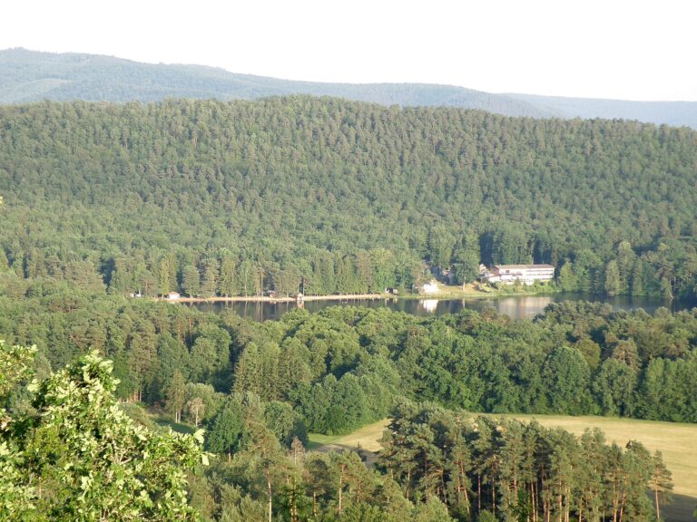 Étang de Hanau à Philippsbourg, Vosges du Nord (Moselle)