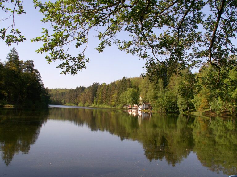 Étang de Hasselfurth : la baignade au pied de la citadelle de Bitche