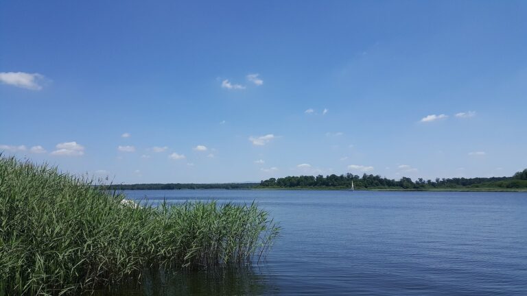 Étang du Stock : baignade et voile au pays des étangs mosellans