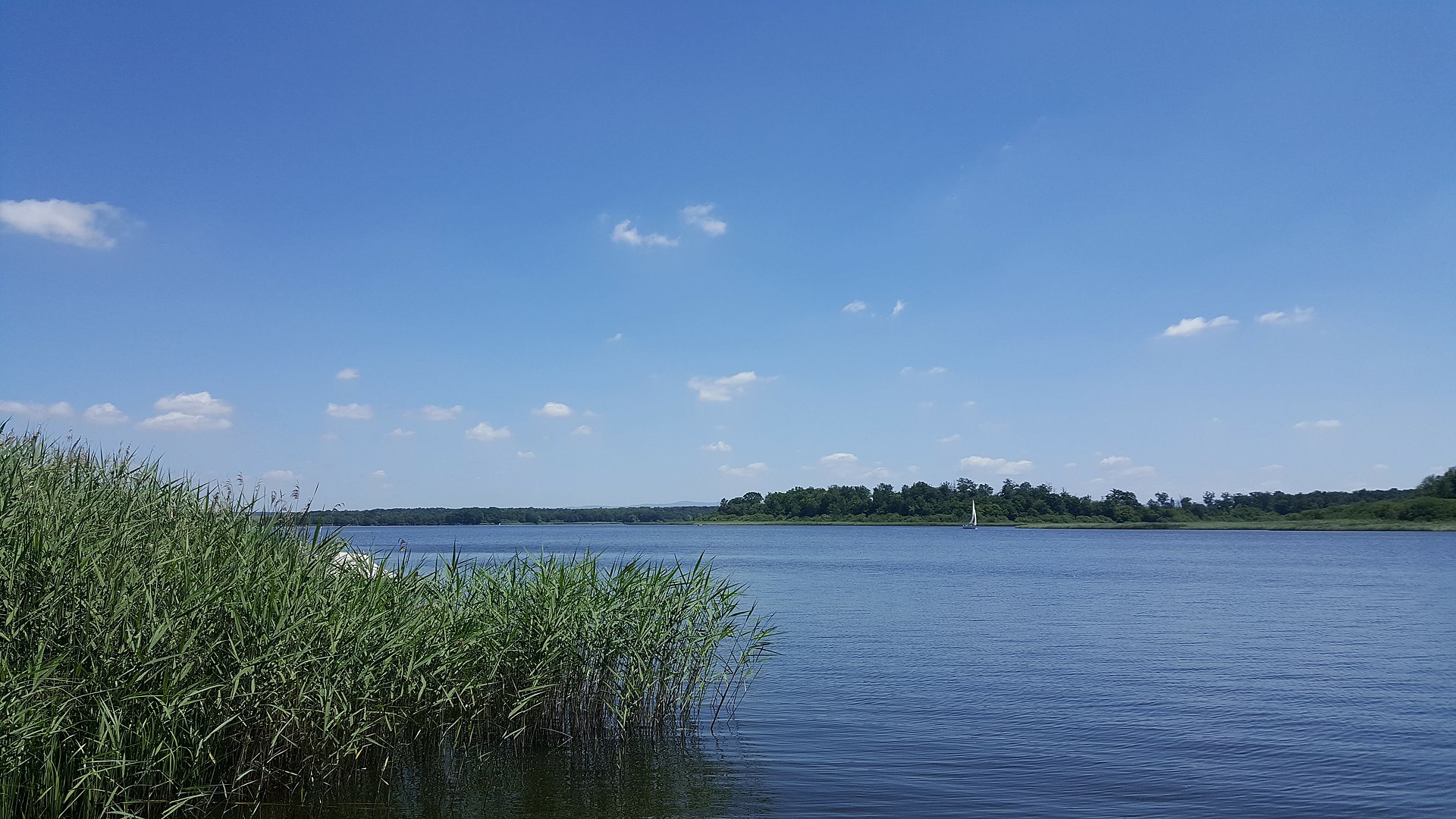 Étang du Stock à Langatte (Moselle), voilier sur le lac Étang du Stock à Langatte (Moselle), voilier sur le lac
