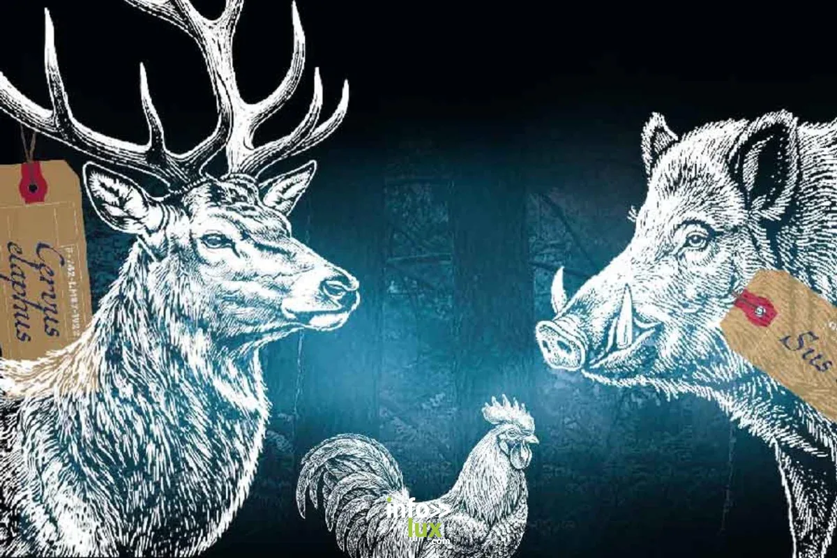 Affiche officielle Expo : Animal. Bêtes de Musées 2026