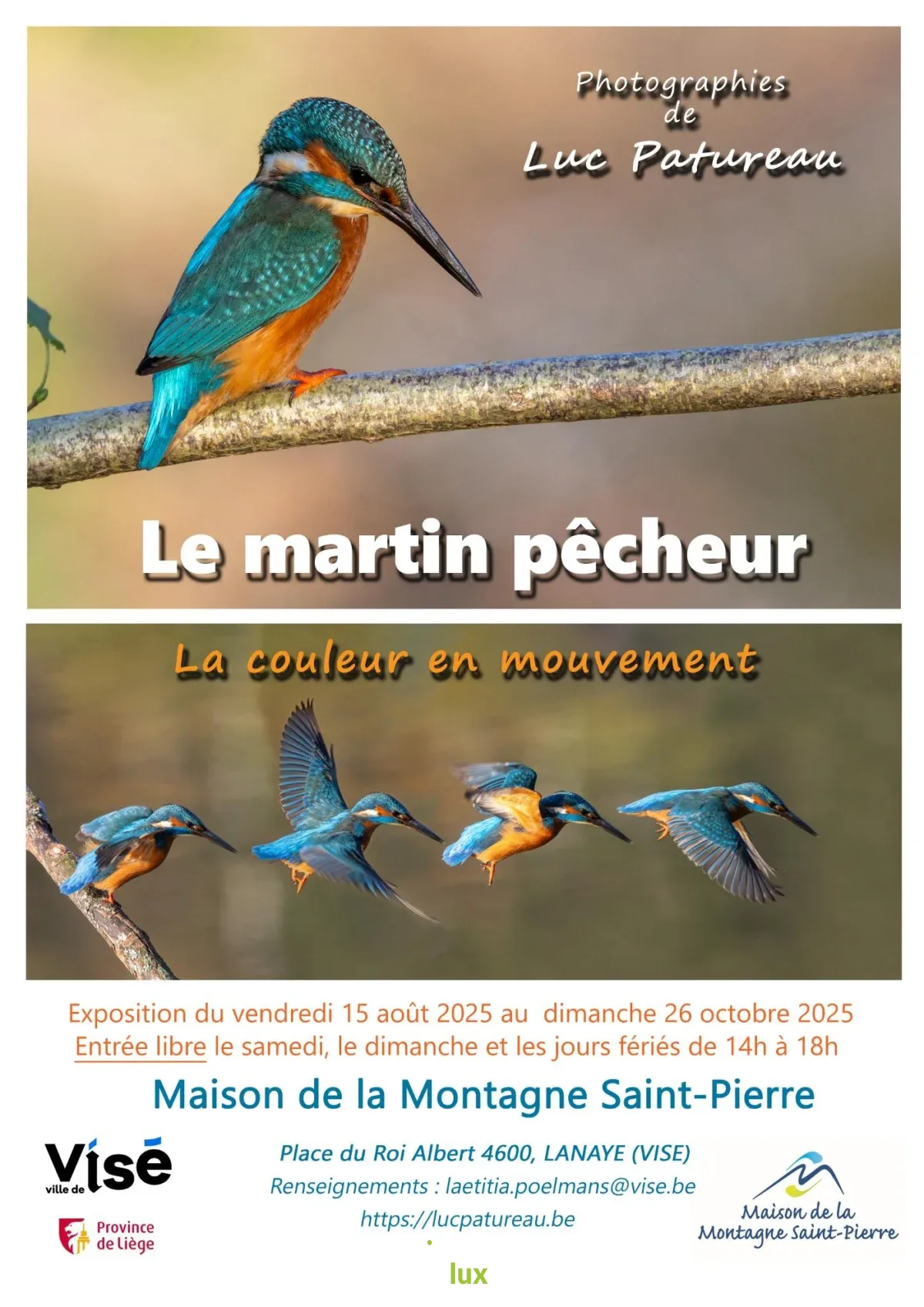 Affiche officielle Expo "Le martin pêcheur" 2026