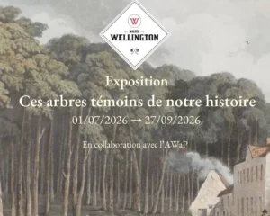 Exposition – Ces arbres témoins de notre histoire — Waterloo Exposition – Ces arbres témoins de notre histoire — Waterloo
