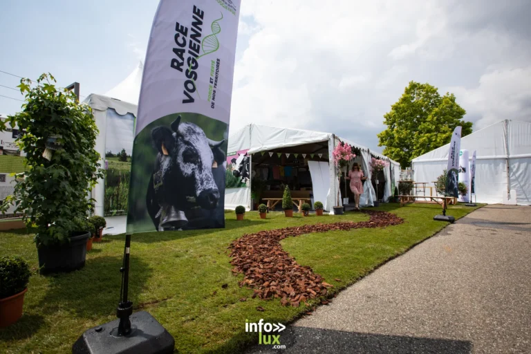 Foire aux Vins d’Alsace 2026 à Colmar - ambiance public au Parc Expo, guide pratique accès parkings horaires