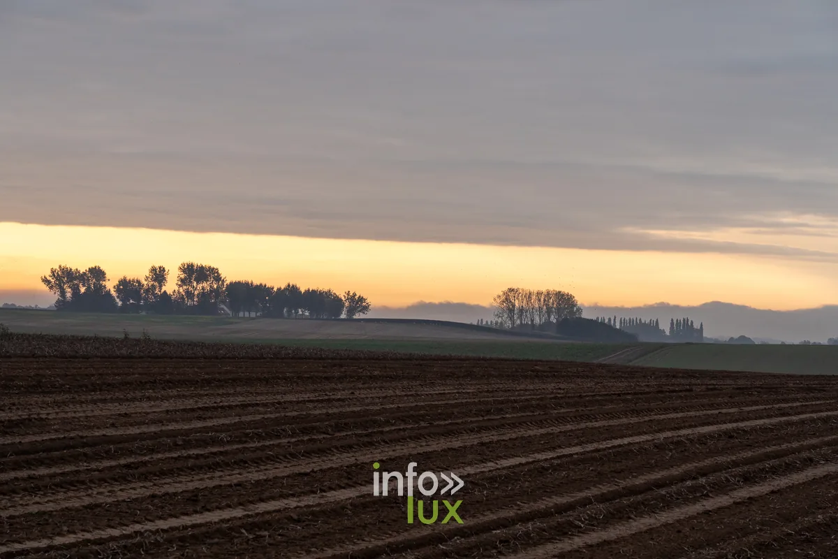 La Ferme de la Basse-Cour à Walhain (Brabant wallon)