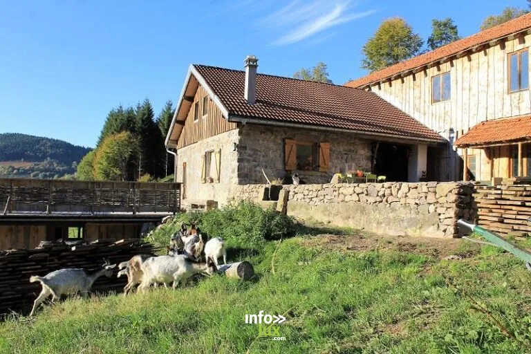 Ferme de Noiregoutte à Fresse-sur-Moselle