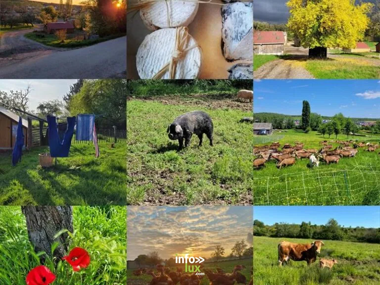 Ferme du Fol Épi