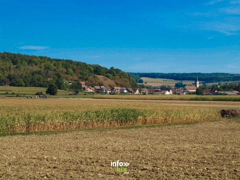 Ferme du Moulin Haut à Oltingue