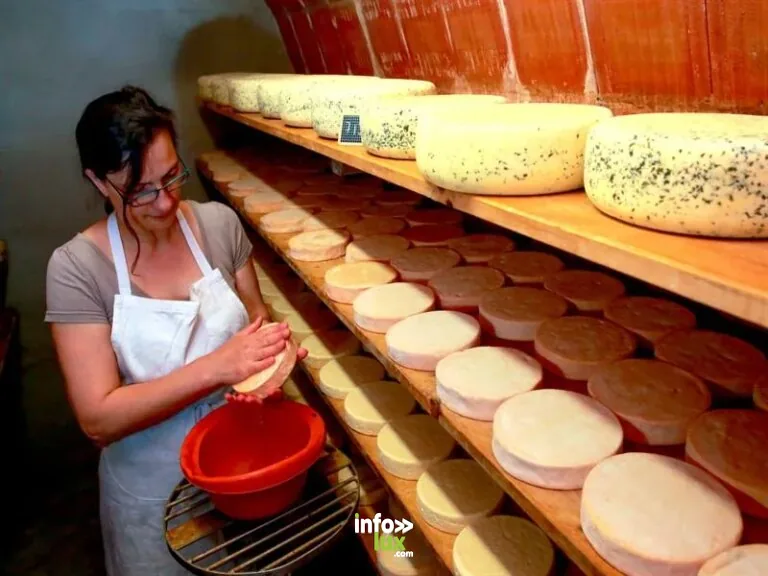 Ferme du Schoultzbach à Orbey