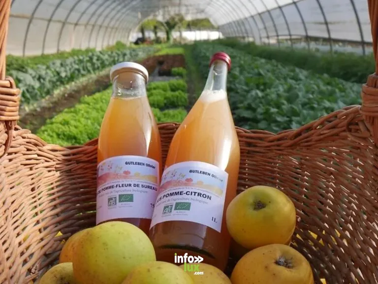 Ferme Gutleben à Munwiller