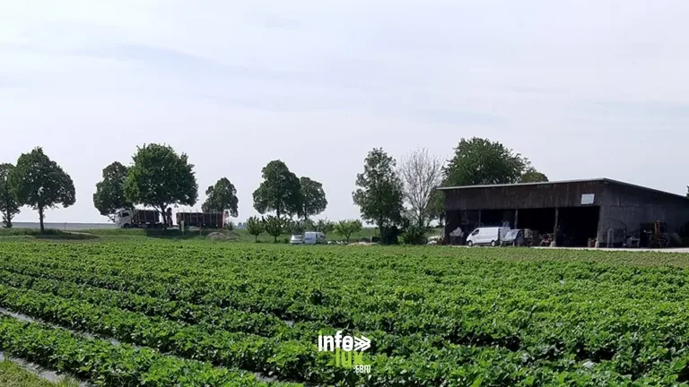Ferme Heckmann Pierette à Duppigheim