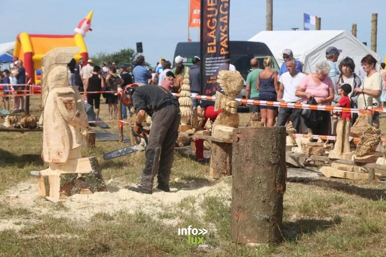 Vresse-sur-Semois > Fête > Fête du bois 2026