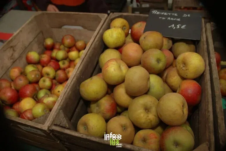 Chimay > Sortie > Foire aux pommes de l’Aquascope 2026
