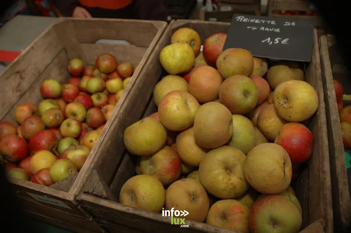 Affiche officielle Foire aux pommes de l'Aquascope 2026