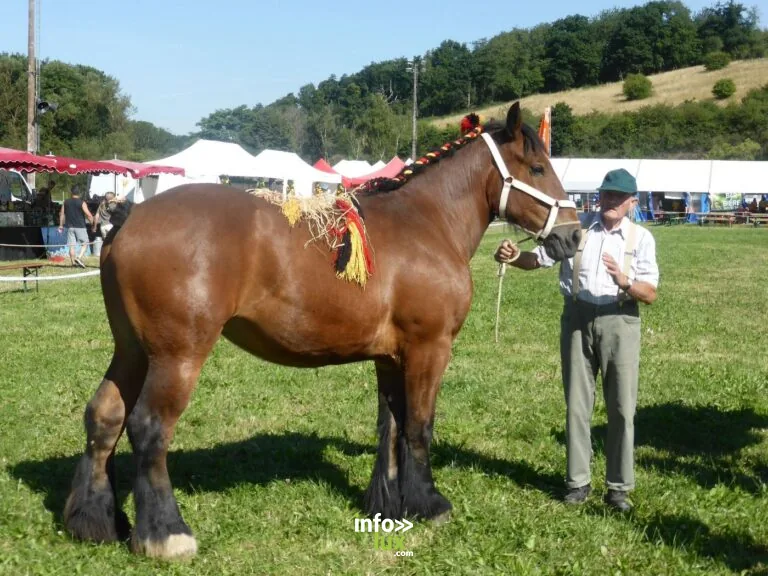 Cerfontaine > Sortie > Foire Verte de l’Eau d’Heure 2026