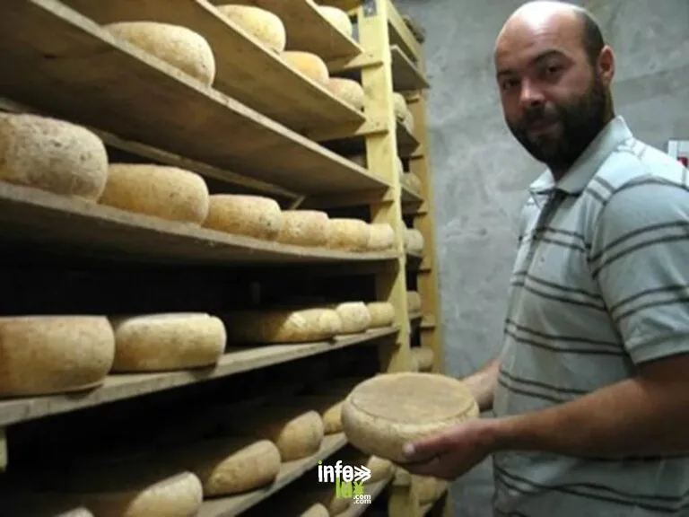 GAEC Sellier La Croix de Ferrière - Produits laitiers à Champigneul-sur-Vence