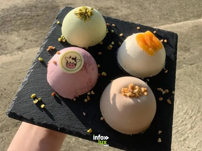 Glaces de Meuse à Nouillonpont