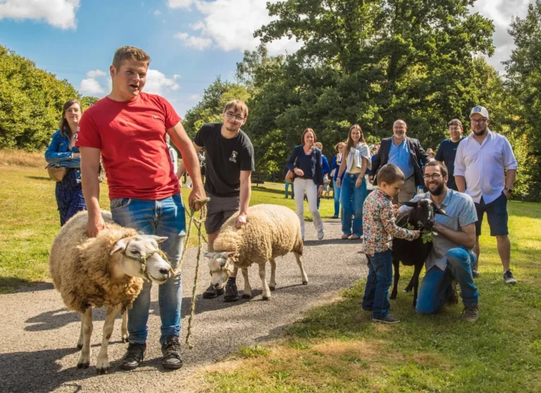 Hämmelsmarch à Martelange