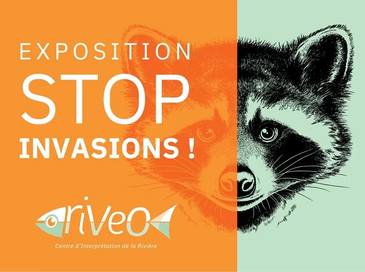 Exposition: Stop invasions à Hotton (Fête Nationale du 21 juillet)