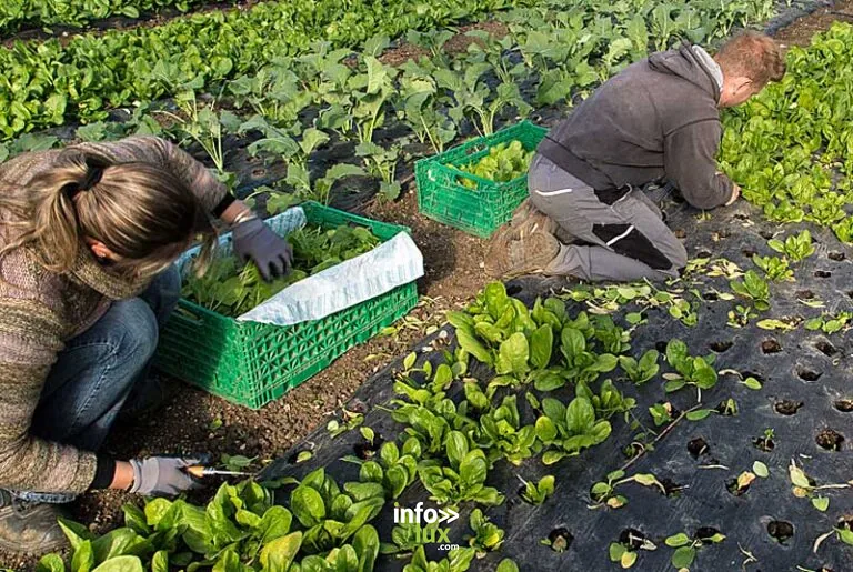 Jardin Bio de Vaillant