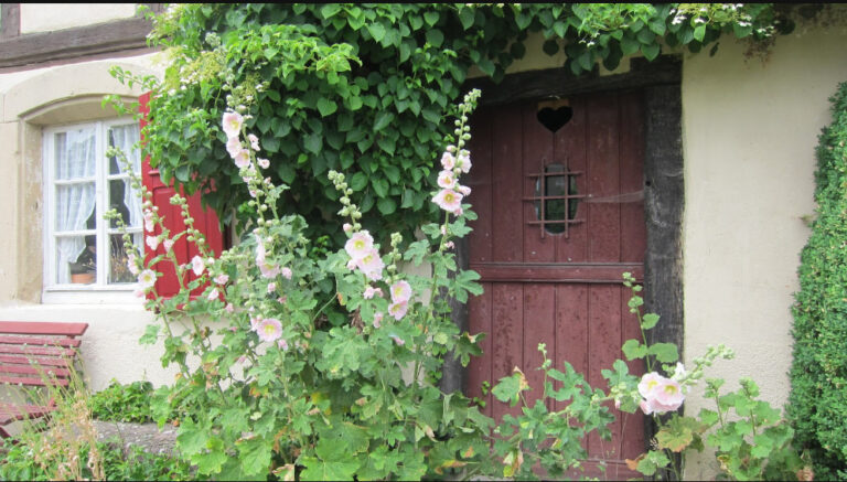 Hoste > Patrimoine > Visite guidée d’une authentique maison Lorraine du XVIIe et de son arboretum.