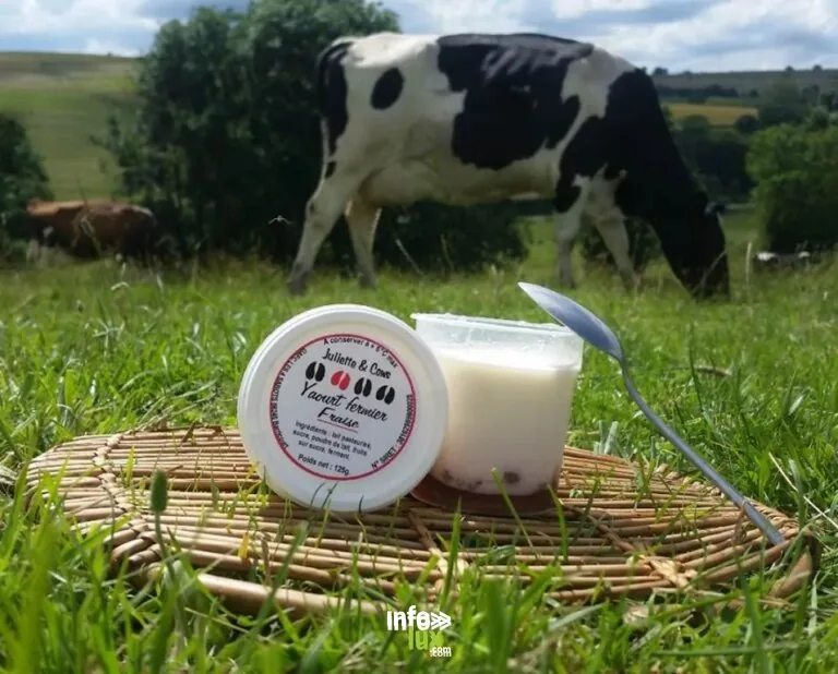 Juliette & Cows à Tailly