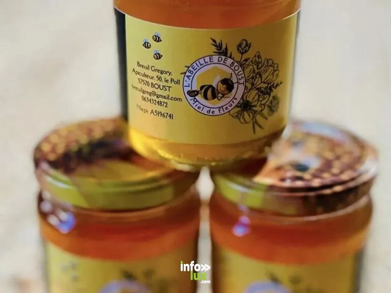 L’abeille de Boust à Boust