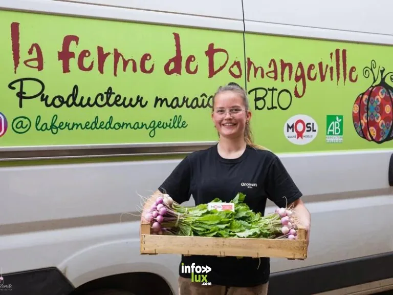 La ferme de Domangeville à Pange