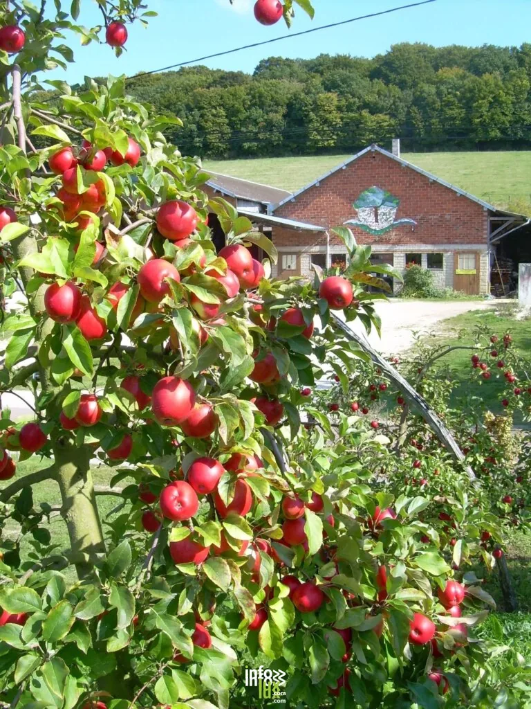 La Ferme des Charmes