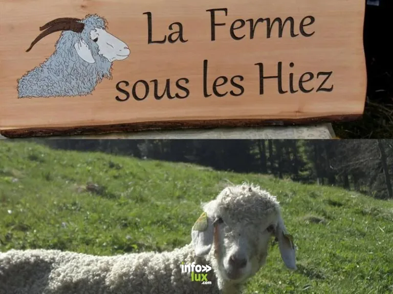 La Ferme sous les Hiez