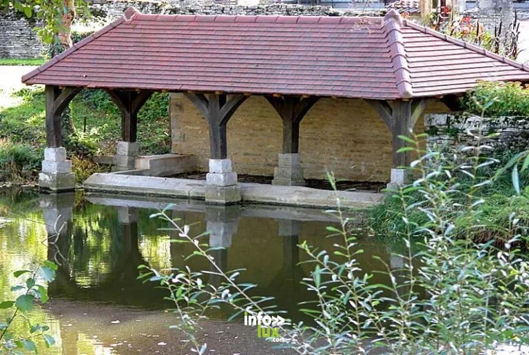 Lavoir au fil de l'eau N°1 à Dommarien