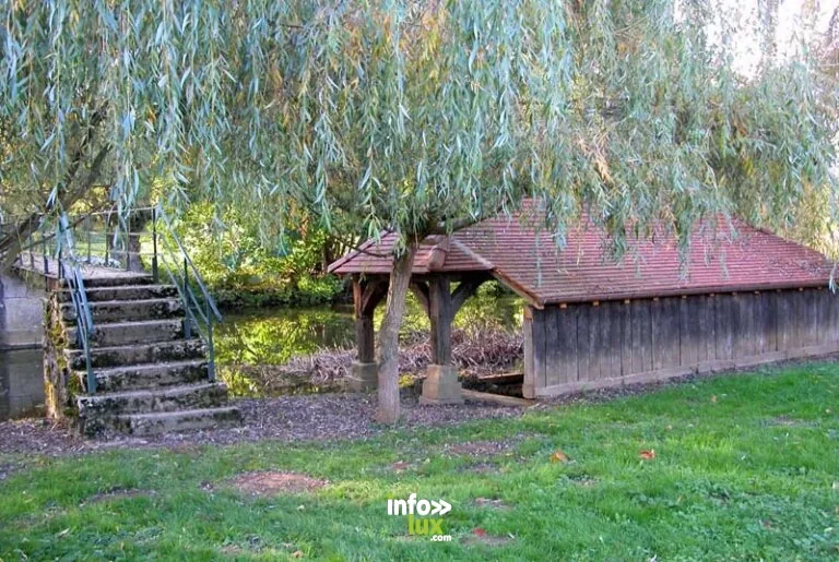 Lavoir au fil de l'eau N°2 à Dommarien